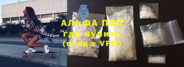 гашик Арсеньев