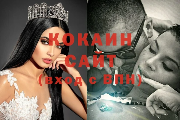 гашик Арсеньев