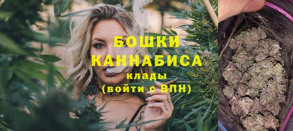 гашик Арсеньев