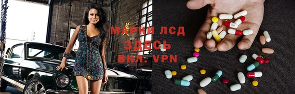 гашик Арсеньев